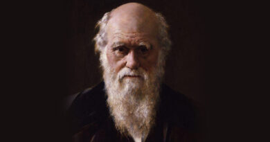 20250212 Darwin