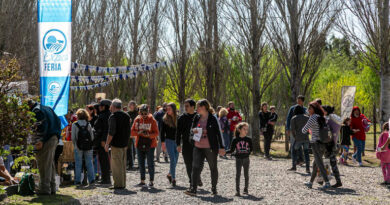 Este fin de semana llega una nueva edición de “Granja Nocturna” a Alte Brown Este fin de semana llega una nueva edición de “Granja Nocturna” a Alte Brown