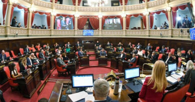 20250416 Senado Bonaerense