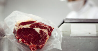 20250423 Carne Repro