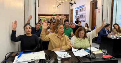 20250507 Brown Concejo Deliberante