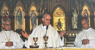 20250510 prevost bergoglio teleconsultas sobre dengue