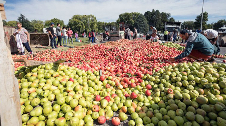 Peras chinas: El síntoma importado de una profunda crisis en la fruticultura y el agro local 1 20250519 Perass Peras chinas