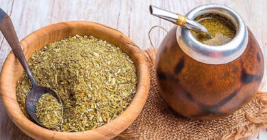Escuela Argentina de Yerba Mate