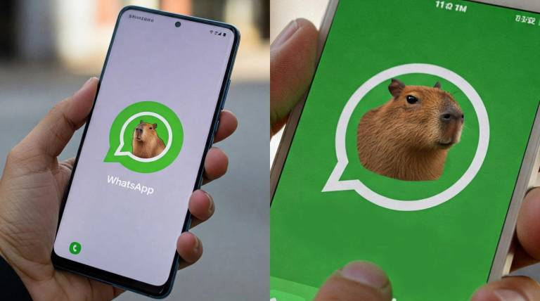 Activá el "Modo Carpincho" en WhatsApp: personalizá tu ícono con Nova Launcher 1 Carpincho