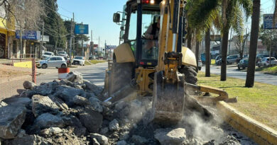 Alte Brown bacheo