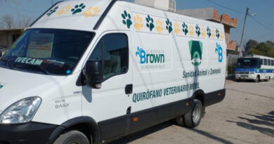 criadero de perros ilegal