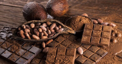 Día Mundial del Cacao: Celebrando el oro de los dioses y sus desafíos