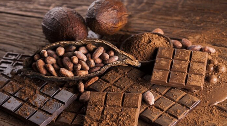 Día Mundial del Cacao