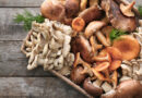 Beneficios de consumir hongos: Nutrición y salud en un solo alimento Beneficios de consumir hongos: Nutrición y salud en un solo alimento