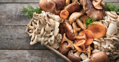 Hongos