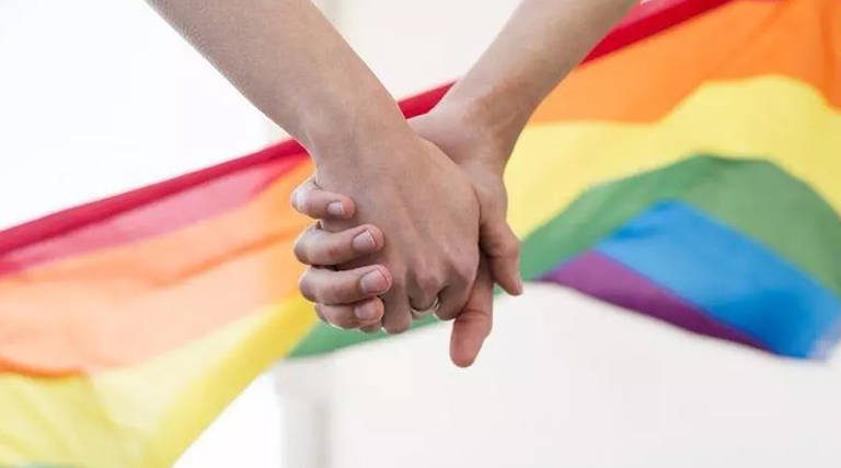 Matrimonio Igualitario: 15 años de un hito por la igualdad