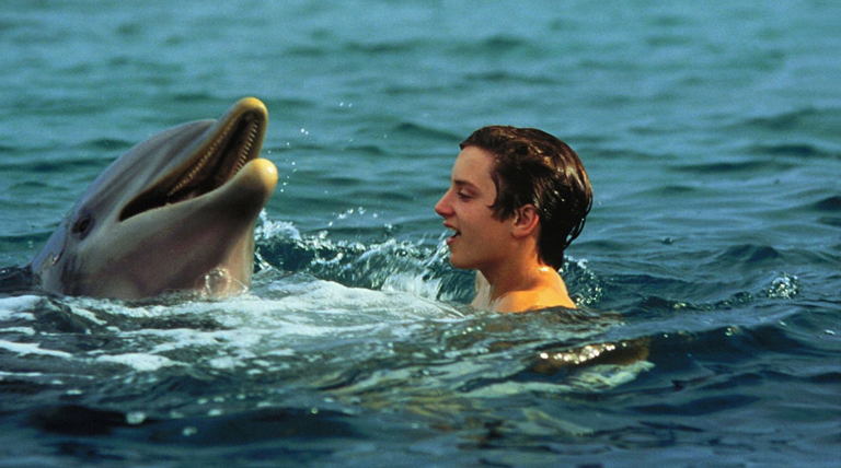 "Flipper": la emotiva aventura familiar de los 90 que vuelve a brillar en Netflix 1 Flipper
