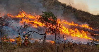 18 de agosto: Día mundial de la prevención de incendios forestales, un llamado urgente a la conciencia global