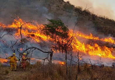 Milei ofrece ayuda a Chile por incendios mientras recorta fondos locales