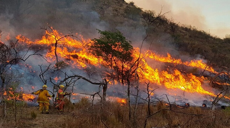 Día mundial de la prevención de incendios forestales
