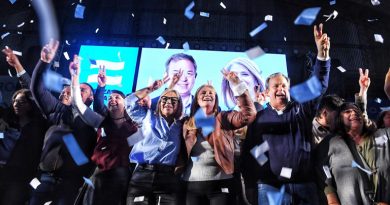 Fuerza Patria Brown