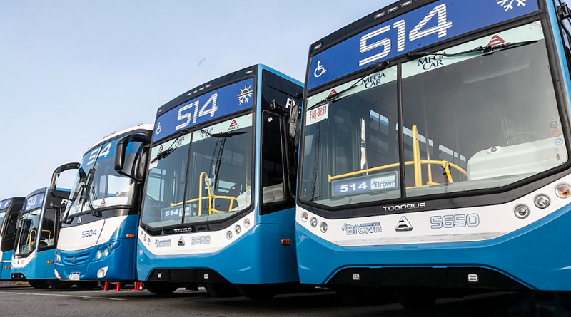 Este domingo de elecciones habrá transporte público gratuito en Alte Brown 1 transporte público gratuito