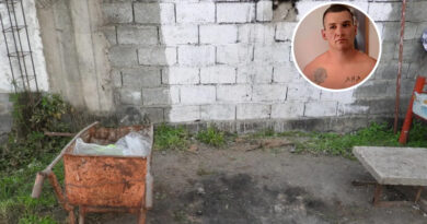 Avances en el caso Matías Jurado: 21 perfiles de ADN sin identificar Avances en el caso Matías Jurado: 21 perfiles de ADN sin identificar