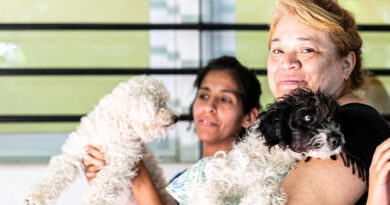 Zoonosis Brown desembarca en Malvinas Argentinas con un operativo de castración gratuita Zoonosis Brown desembarca en Malvinas Argentinas con un operativo de castración gratuita