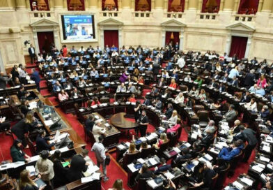 La oposición pide que la AGN audite contratos de la ANDIS y la ANMAT