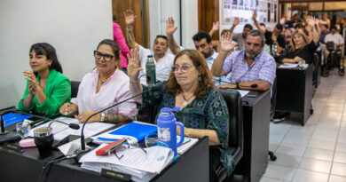 Honorable Concejo Deliberante