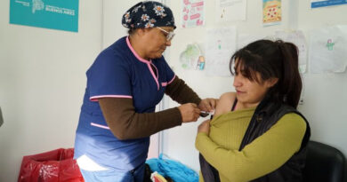 Amplían la vacunación contra el dengue en la provincia de Buenos Aires Amplían la vacunación contra el dengue en la provincia de Buenos Aires