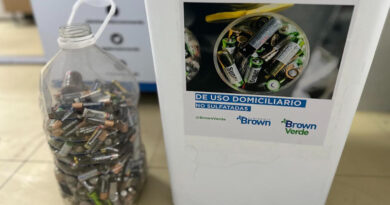 20250920 Brown pilas