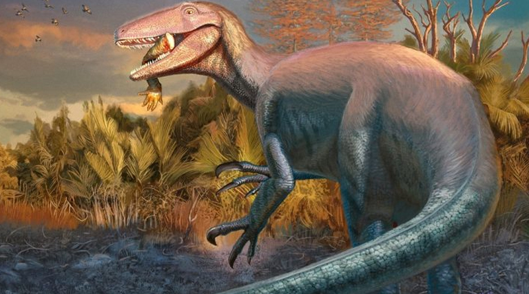 Joaquinraptor casali
