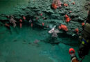 CONICET inicia una expedición inédita en Chubut: cómo seguir en vivo la exploración de cañones submarinos