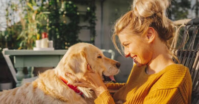 Riesgos del “lenguaje perruno”: por qué no deberías hablarle a tu perro como si fuera un bebé