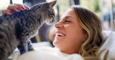 Oxitocina felina: así refuerza la “hormona del amor” el vínculo entre humanos y gatos 4 20251009 Gato Enfermedades comunes en perros