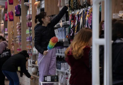 Las ventas minoristas cayeron un 9,1% en noviembre y se consolidó la tendencia negativa Las ventas minoristas cayeron un 9,1% en noviembre y se consolidó la tendencia negativa