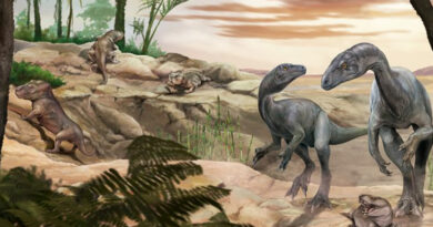 20251016 Dinosaurio Conicrt