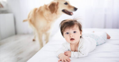 20251018 Perro bebe cervecería Egipto