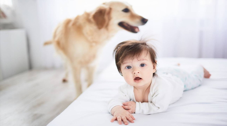 Perros y asma infantil: La exposición temprana a caninos reduce el riesgo en bebés, pero los gatos no ofrecen protección 1 20251018 Perro bebe