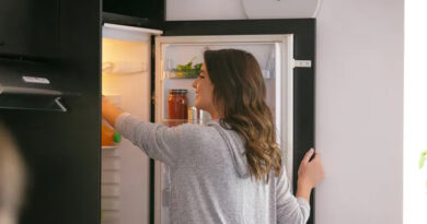 Consumo eléctrico en verano: cinco errores comunes que disparan la factura de luz 2 20251030 Heladera hipoacúsicos