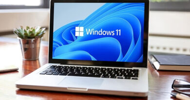 20251031 Windows 11 coronavirus