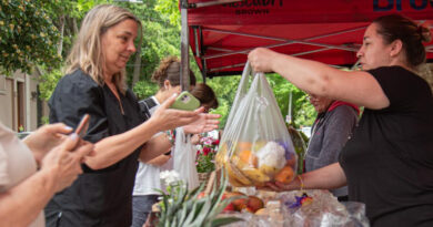 Circuito de Ahorro Brown