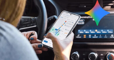 20251113 Asistencia en ruta Gemini vejez