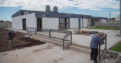 20251124 Brown Jardin 1