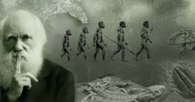 Ciencia y Orígenes: Se celebra el Día Mundial de la Evolución, en homenaje al legado de Charles Darwin