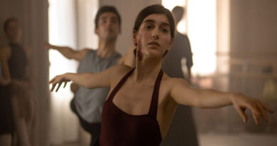 Las niñas de cristal