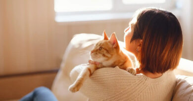 Neurociencia felina: Cómo la oxitocina impulsa la conexión única entre humanos y gatos Neurociencia felina: Cómo la oxitocina impulsa la conexión única entre humanos y gatos