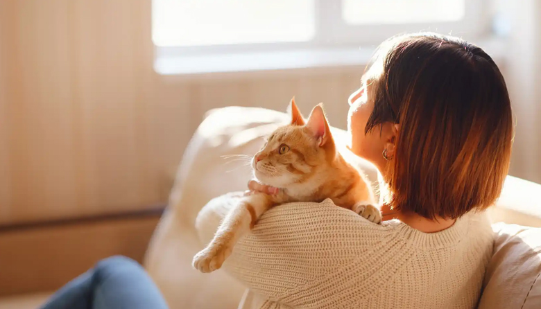 20261109 gato Neurociencia felina