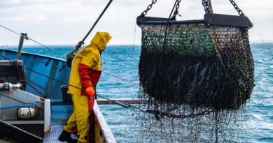 20261118 Buque pesquero escuelas bonaerenses