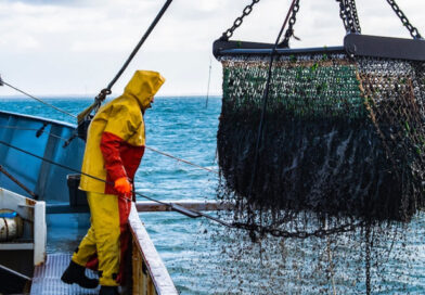Soberanía marítima: denuncian ingreso masivo de buques extranjeros