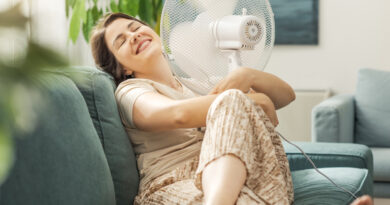 20251210 Ventilador calor sarcófagos saqqara