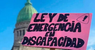 20251213 Ley de emergencia en discapaciadad billete de $1000 perdió el 55