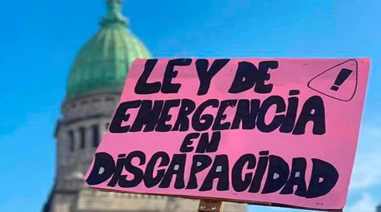 20251213 Ley de emergencia en discapaciadad Ley de Emergencia en Discapacidad